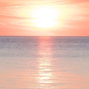 Meet your Posher, Kristina